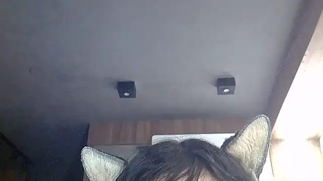 SkinnyKitten webcam