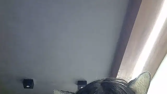 SkinnyKitten webcam