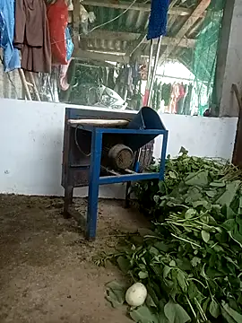 nangmo webcam