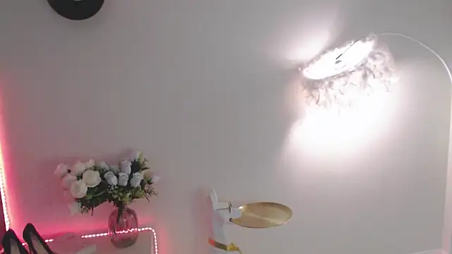 VeliaSai webcam