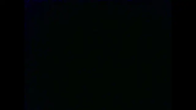 Little_fox404 webcam