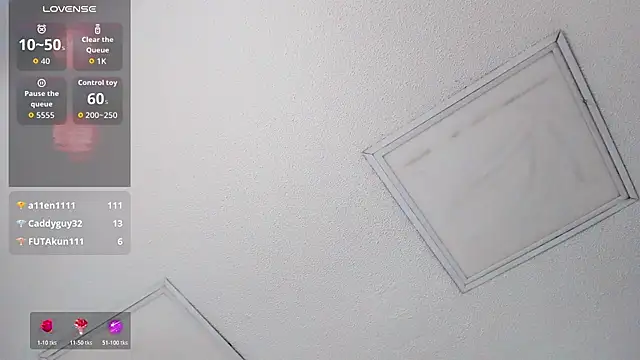 Tyler_durten webcam