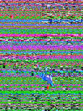 James_Jennifer_G webcam