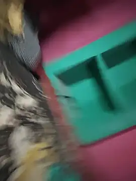 Monika_thakurr webcam
