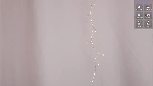 CherlyGuss webcam