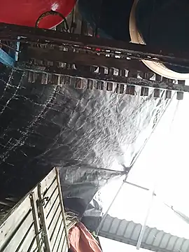 -Arabella- live cam on StripChat