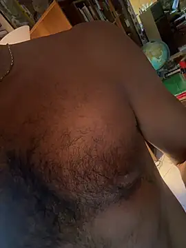 DarkfleX webcam