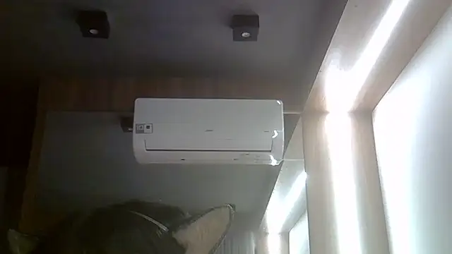 SkinnyKitten webcam