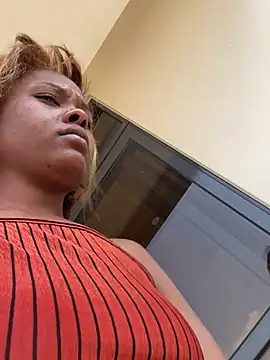 Sis27 webcam
