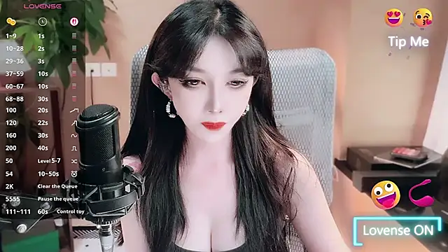 vyizh- webcam