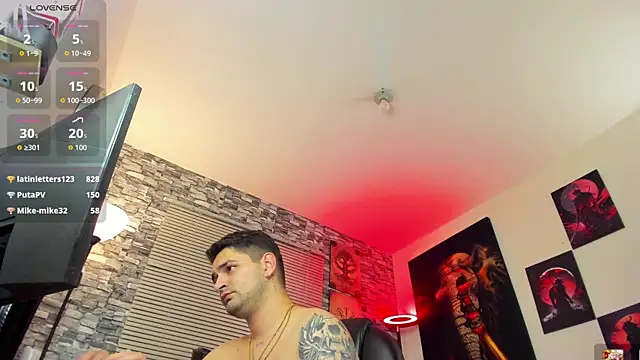 Nicolas_Fellener webcam