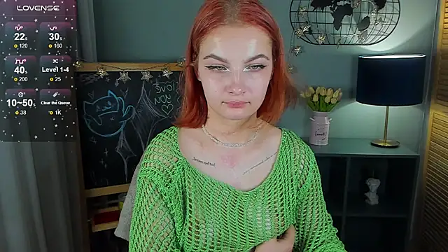 nortellii webcam