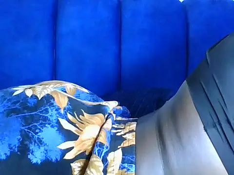 MissElsie21 webcam