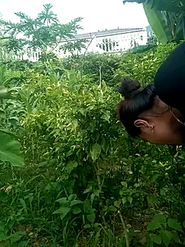 Congnuong webcam