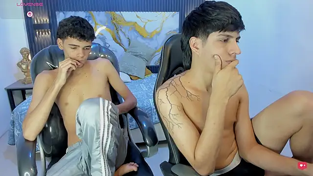 Estiv18_ webcam