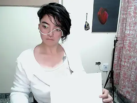 Came-II webcam