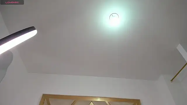 mitch_asm webcam