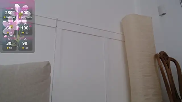 SecretAshX webcam
