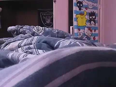 Blkstylion webcam