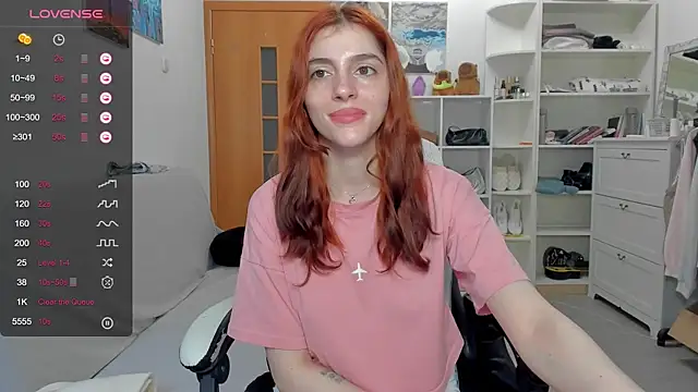 broosnica1 webcam