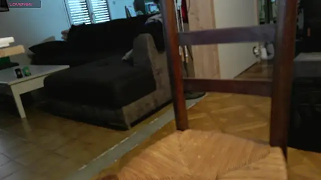 IndienTiger webcam