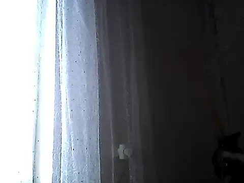Littlecatme webcam