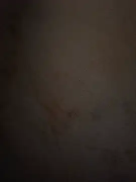 Pusssyfuc webcam