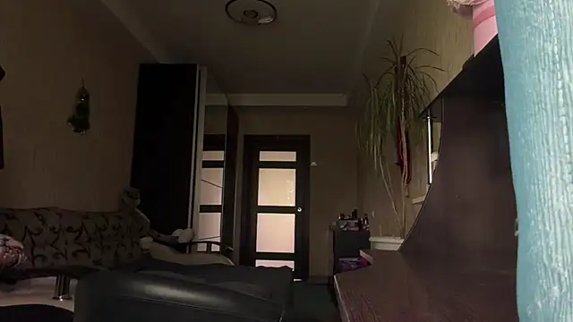 DarkShinese webcam
