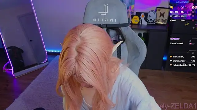 zelda_1 webcam