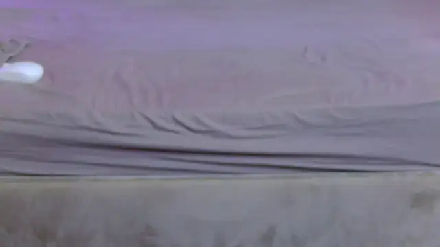 PlayfulShow webcam