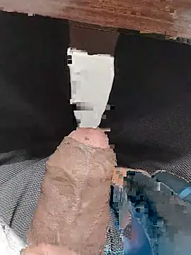 themasklover webcam