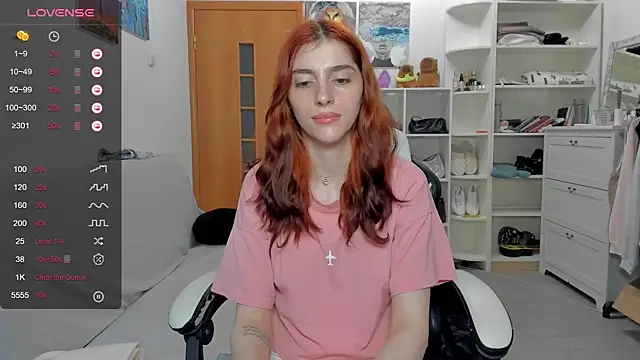 broosnica1 webcam