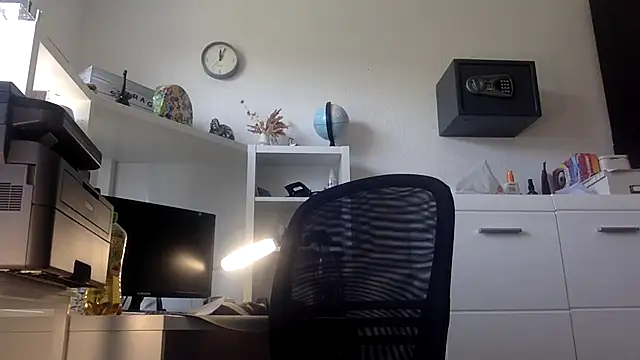T_R_1992 webcam