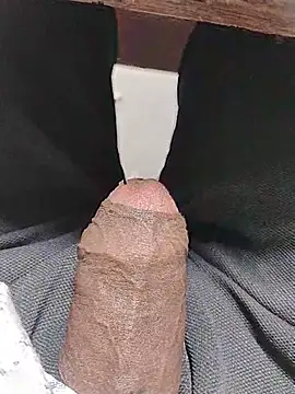 themasklover webcam