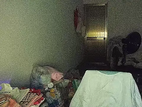 RebelAura webcam