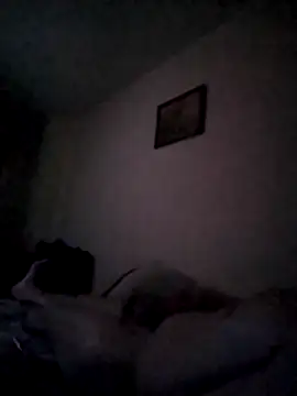 hamhen webcam