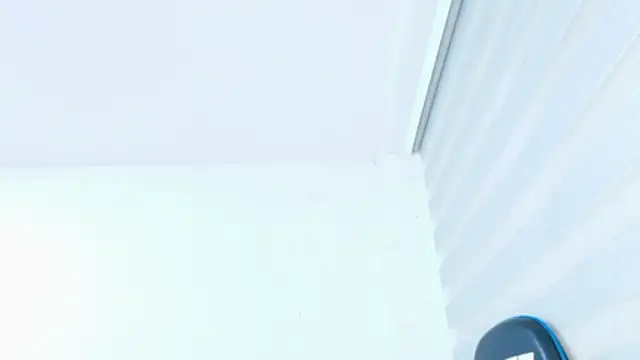 sophiax-x webcam