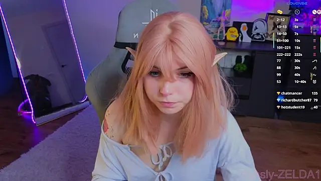 zelda_1 webcam