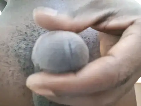 demo2004 webcam