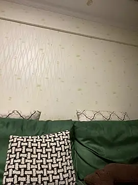 CRROO-AA webcam