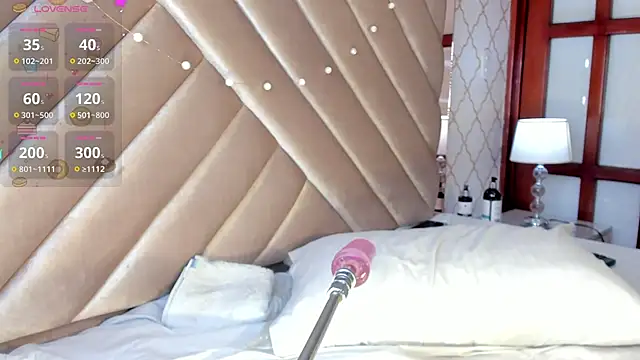 KaelSoft_ webcam