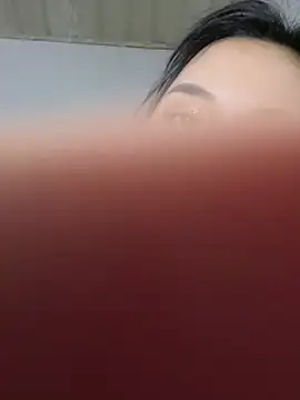Honghoaa webcam