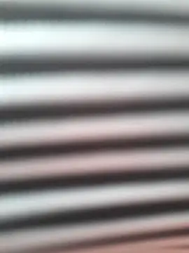 -Tara-a webcam