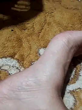 -Tara-a webcam