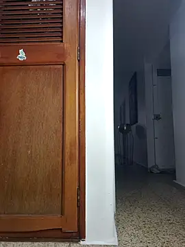 karla-bruni live cam