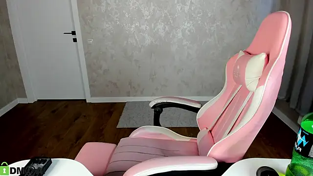 Lina-XD webcam