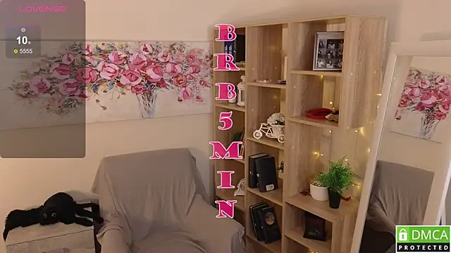 Sue_Sanders live cam