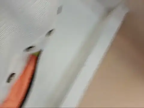 bichota85 webcam