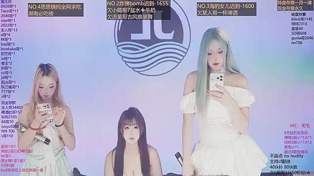 Sw-001 webcam