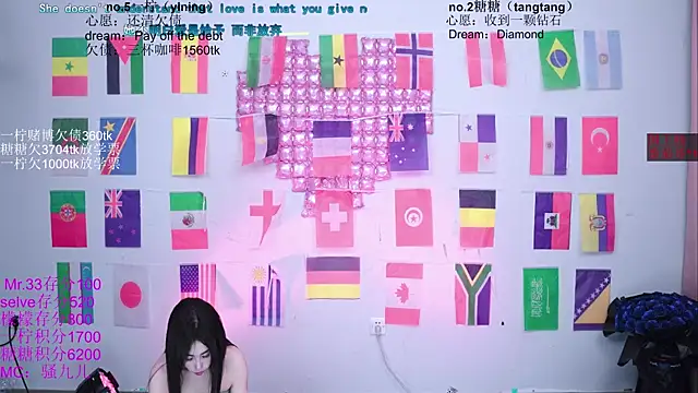 CCTW-100 webcam